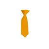 Romario Manzini Solid Color Boy's 8" Clip On Tie (Gold Bar) view 1