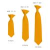 Romario Manzini Solid Color Boy's 8" Clip On Tie (Gold Bar) view 2