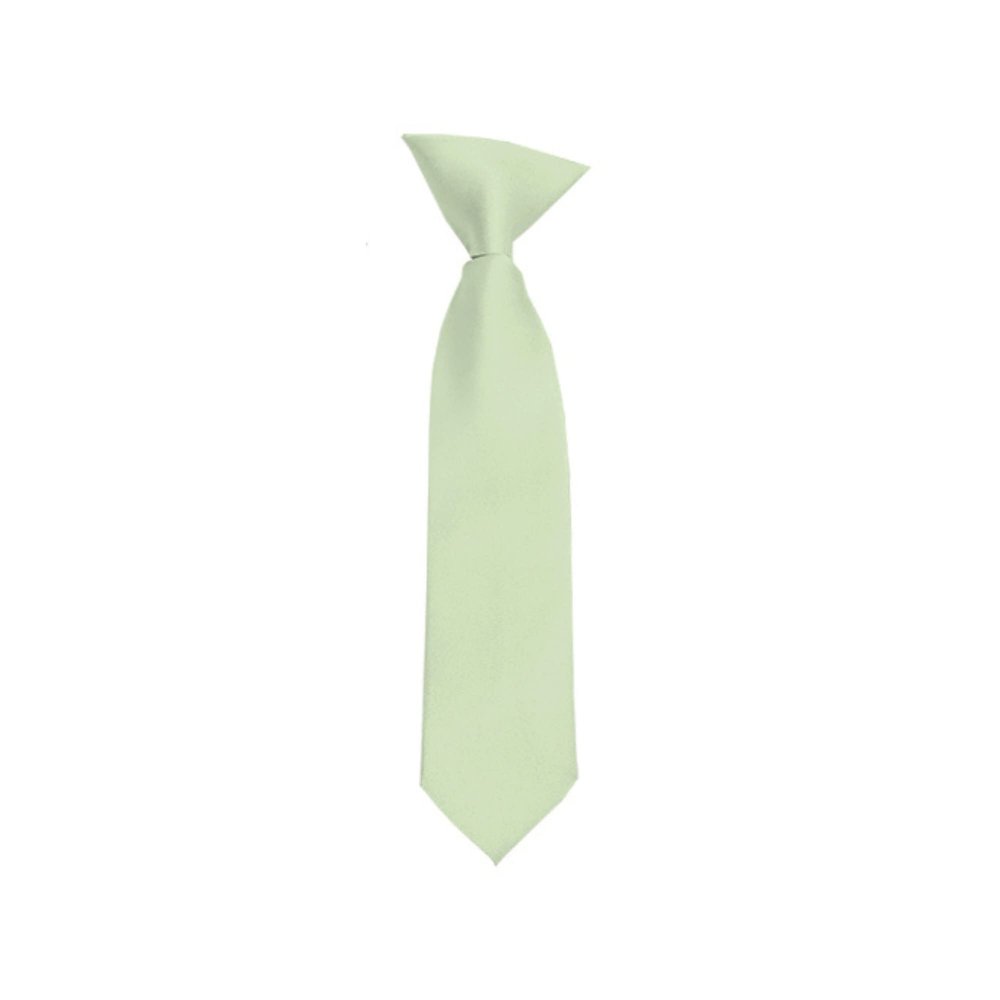 Romario Manzini Solid Color Boy's 11" Clip On Tie Age 3 to 6 Years Old (Light Sage Green)