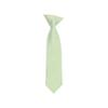 Romario Manzini Solid Color Boy's 11" Clip On Tie Age 3 to 6 Years Old (Light Sage Green) view 1