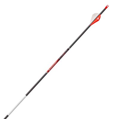 Bloodsport Evidence Arrow, 165" Micro-Diameter, 001" Straightness, 6 Pack, 500 Spine