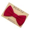 Handmade Pre-Tied Clip on Bow Tie for Baby to Young Boy (Small, Red) view 1