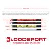 Bloodsport Judgement Bare Shaft Lightweight Precise Durable Carbon Hunting Arrow for Compound Bow - 31" Length, 244" Standard-Diameter, 001" Straightness, 12 Pack, 300 Spine view 4
