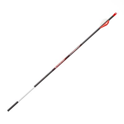 Bloodsport Judgement Lightweight Precise Durable Carbon Fletched Hunting Arrow for Compound Bow - 31" Length, 244" Standard-Diameter, 001" Straightness, 6 Pack, 500 Spine