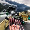 Bloodsport Judgement Lightweight Precise Durable Carbon Fletched Hunting Arrow for Compound Bow - 31" Length, 244" Standard-Diameter, 001" Straightness, 6 Pack, 500 Spine view 2