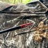 Bloodsport Gravedigger Extreme 4-Blade Hunting Hybrid Mechanical Broadhead with Cut-on-Contact Tip - 100 Grains | 2.25" Cutting Diameter | 3 Pack view 4