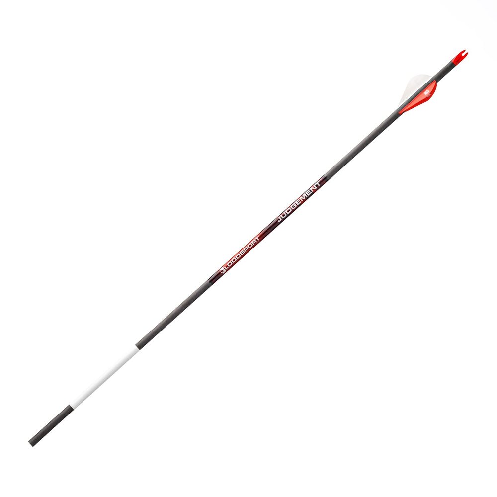 Bloodsport Judgement Lightweight Precise Durable Carbon Fletched Hunting Arrow for Compound Bow - 31" Length, 244" Standard-Diameter, 001" Straightness, 6 Pack, 400 Spine