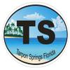 Magnet Tarpon Springs Florida Oval Vinyl Magnetic Bumper Sticker Decal D1178 5" view 1
