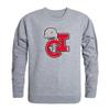 CSUCI California State University Channel Islands Dolphins NCAA College Crewneck Sweater - XX-Large, Heather Grey view 1