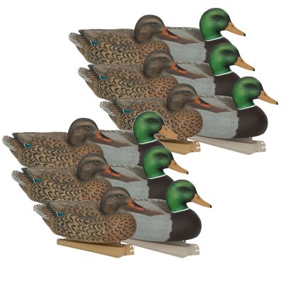 Avery GHG Essential Mallard Duck Decpus - 12 Pack