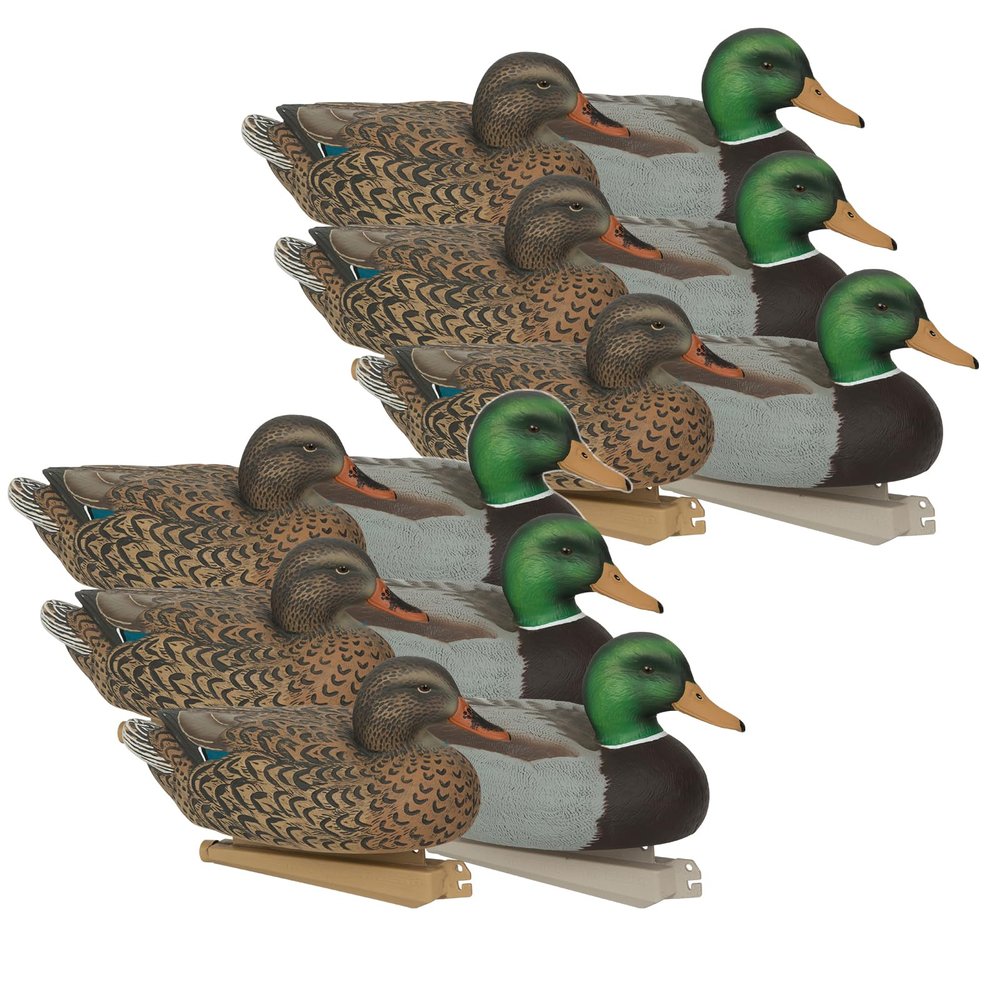 Avery GHG Essential Mallard Duck Decpus - 12 Pack