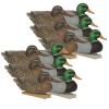 Avery GHG Essential Mallard Duck Decpus - 12 Pack view 1