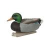 Avery GHG Essential Mallard Duck Decpus - 12 Pack view 2