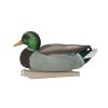 Avery GHG Essential Mallard Duck Decpus - 12 Pack view 3