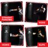 PROLAST 4 ft 80lb Heavy Boxing Punching Bag, Muay Thai, MMA, Strength Training Equipment, Hanging, Unfilled, No D Ring, Rhino Logo, Black view 2