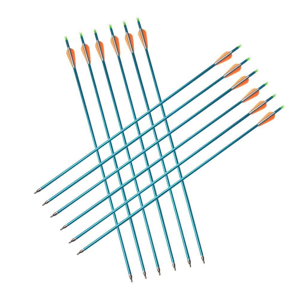 SHARROW 30 Aluminum Arrow with Blue Arrow Shaft & 100 Grain Field Points for Target Practice(500 Spine) (12)