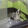 Klymit Static V Sheet, Sleeping Pad Cover,Green/Grey view 4