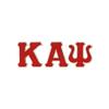 Fashion Greek Kappa Alpha Psi Twill Letter Crewneck Sweatshirt White White/Red Small view 3