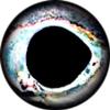 Brule 3-D Hard Epoxy Eyes (Frost, 20mm) view 1