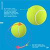 DUNLOP ATP Extra Duty Tennis Balls (Case) view 2