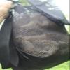 Mushroom Foraging Bag. Made in USA view 4