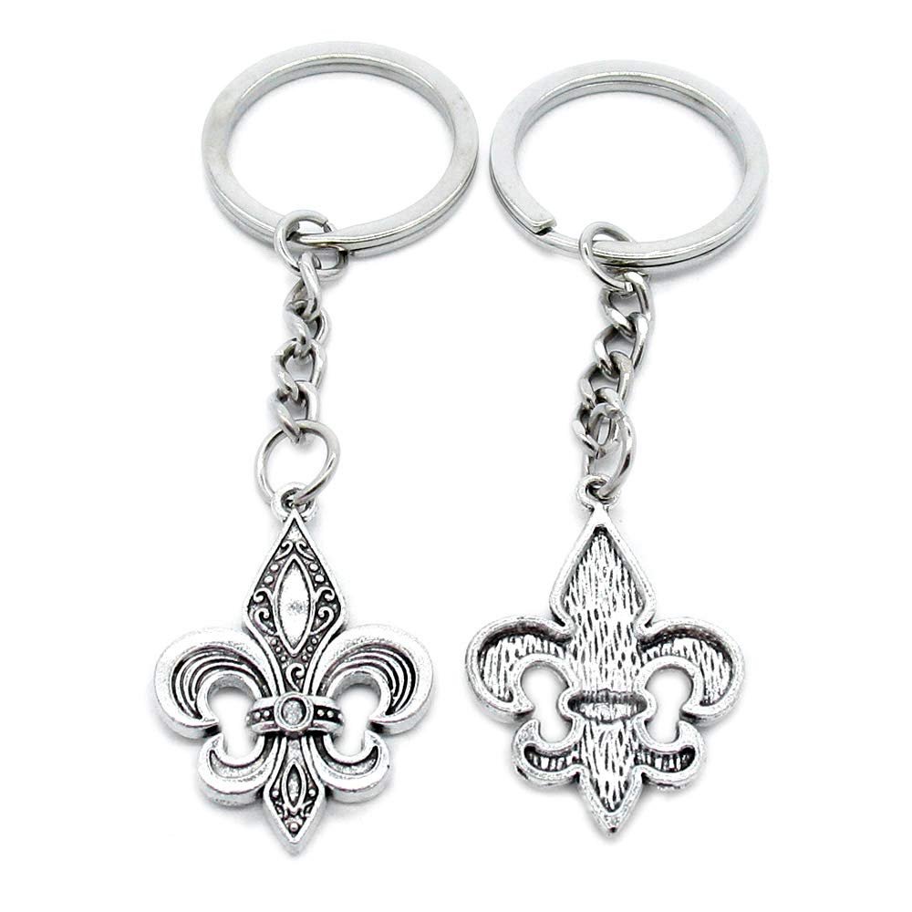 1 PCS Antique Silver Keyrings Keychains Key Ring Chains Tags Clasps AA461 Fleur De Lis Iris Lily
