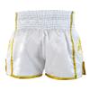 CRNR Muay Thai Shorts | Kickboxing Thai Boxing MMA Training Competition Athletic Shorts | White/Gold | Youth Small view 3
