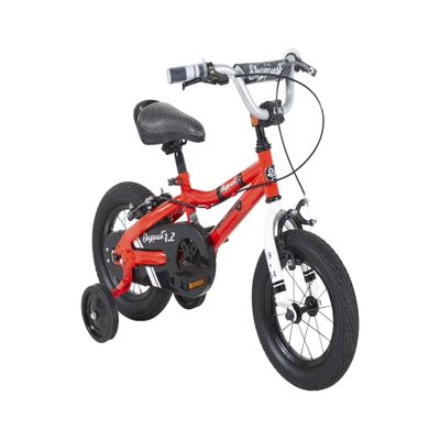 Duzy Customs 12 Red Kids Bike with Five Minute Quick Assembly