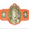 Undisputed Belts Basketball Championship Belt Trophy - Winged Ball - Custom Banner Text and Colors - 2 Day Production view 1