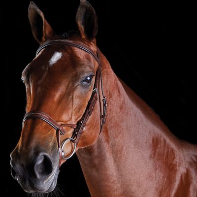 Collegiate ComFiTec Fancy Stitch Bridle, Brown, Warmblood