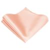 TIE G Solid Satin Woven dyed Color Formal Black Necktie and Pocket Square Sets in Gift Box (Peach Puff) view 4