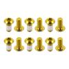 chooee Disc Brake Rotor Bolts,M5x10mm Bicycle Rotor Screws For MTB Mountain bike, T25 Steel Gold. view 1