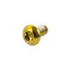 chooee Disc Brake Rotor Bolts,M5x10mm Bicycle Rotor Screws For MTB Mountain bike, T25 Steel Gold. view 3
