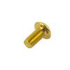 chooee Disc Brake Rotor Bolts,M5x10mm Bicycle Rotor Screws For MTB Mountain bike, T25 Steel Gold. view 4