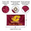 Central Michigan Chippewas Flag with Pole and Bracket Complete Set view 3