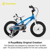 Royalbaby Freestyle Outdoor Children's Bicycle Dual Handbrakes Sporty Kid Bike with Training Wheels and Adjustable Seat, 16 Inch, Blue view 2