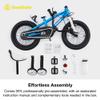 Royalbaby Freestyle Outdoor Children's Bicycle Dual Handbrakes Sporty Kid Bike with Training Wheels and Adjustable Seat, 16 Inch, Blue view 3