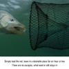 Fishing Net Trap, Fishing Net Crawfish Traps,Portable Folding Fish Net Cage Lobster Crayfish Crab Shrimp Fish Trap Shrimp Cast Mesh Trap Fishing Equipment(25cm) view 4