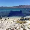 Neso Portable Beach Tent Sun Shelter with Sand Anchor - Lightweight Beach Shade Canopy - Easy Setup for Family Outings - Patented Reinforced Corners - UPF 50+ Sun Protection - 7 x 7ft - Navy view 2