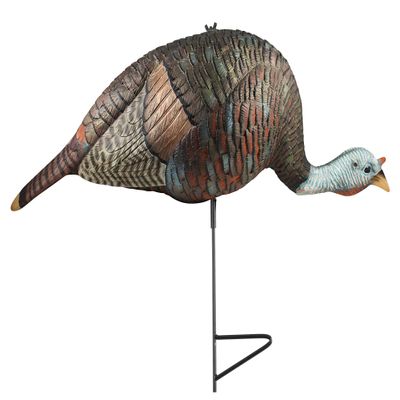 The Grind Hen Decoys, Durable and Lifelike Hen Turkey Decoy, Available in Multiple Postures, Bugging Hen