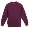 Fruit of the Loom Childrens Big Boys Raglan Sleeve Sweatshirt (Pack of 2) (5-6) (Red) view 3