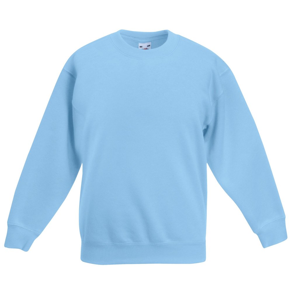 Fruit of the Loom Childrens Big Boys Set in Sleeve Sweatshirt (Pack of 2) (3-4) (Sky Blue)