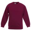 Fruit of the Loom Childrens Big Boys Set in Sleeve Sweatshirt (Pack of 2) (3-4) (Sky Blue) view 3