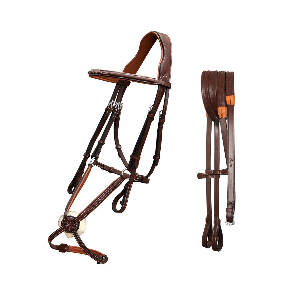 Exion Jumping Horse Bridle | Anatomical Figure 8 Bridle with Fancy Stitching & Padded Grackle Noseband | Rubber Grip Reins & Brass Buckles | English Tack for Equestrian Show & Training