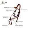 Exion Premium English Leather Figure 8 Bridle with Silver Clincher Noseband & Browband | Soft Padded Anatomical Crown Piece | Rubber Reins & Brass Buckles | Adjustable Fit | Jumping, Hunter, Eventing view 4