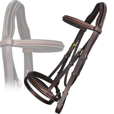 Exion English Jumping Hunter Bridle with Removable Flash Noseband, Rubber Reins & Brass Buckle | Soft Padded Raised Snaffle Browband & Noseband | Anti-Pressure Headpiece | Leather Horse Bridle