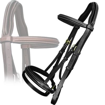 Exion English Jumping Hunter Bridle with Removable Flash Noseband, Rubber Reins & Brass Buckle | Soft Padded Raised Snaffle Browband & Noseband | Anti-Pressure Headpiece | Leather Horse Bridle