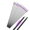 12 Pcs 30 Inch Archery Carbon Arrows 500 Spine Hunting Practice Target Carbon Arrows Shaft with 100 Grain Replaceable Tips for Archery Compound & Recurve & Traditional Bow (Purple Arrow and Quiver) view 2