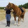 JUSNOVA Windsor Equestrian Leather Hunting Breastplate/Martingale Colour view 1