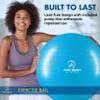 ProBody Pilates Exercise Ball - Multiple Sizes Gym Grade Balance Ball for Fitness, Workout, Pregnancy & Physical Therapy, Stability Yoga Ball Chair (Teal, 55cm) view 2